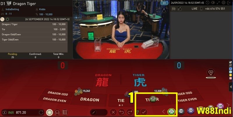 วิธีการ-การเล่น-ดรากอน-ไทเกอร์-ออนไลน์- HP0 BAR 